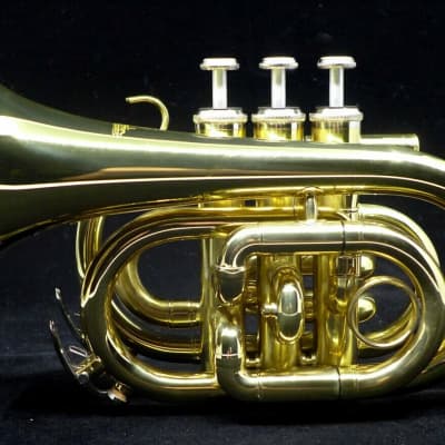 ACB Travel Bundle! Pocket Trumpet, Practice Mute, and Warburton PETE Pro! image 2