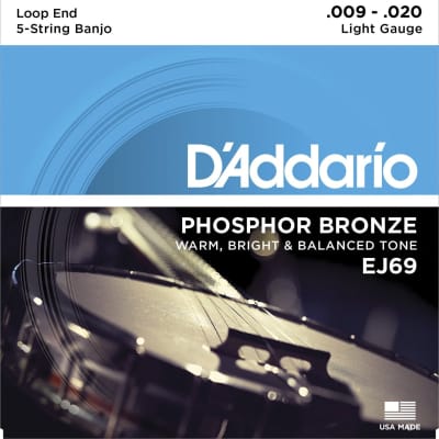 D'Addario EJ69 Phosphor Bronze 5-String Banjo Strings, Light, 9-20 image 1
