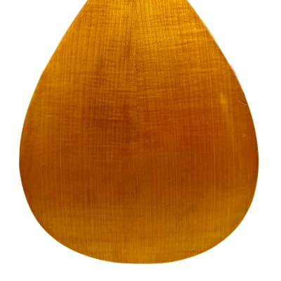 Concert Mandolin Flat-Back Emanuele Egildo N°840 from 1927 image 8