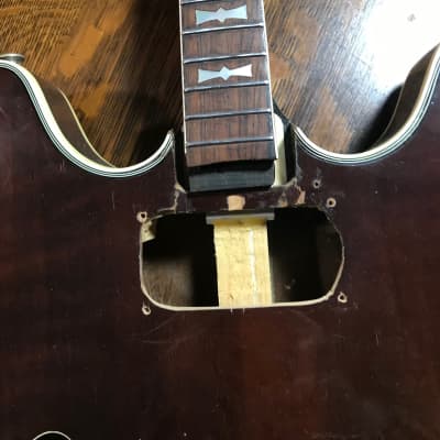 Epiphone Tenor Experiment Americana image 5