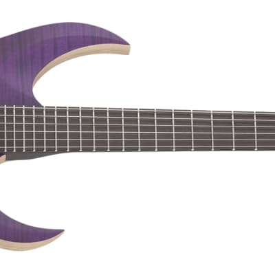 Schecter John Browne Tao-6 Electric Guitar, Satin Trans Purple 462-SHC for sale