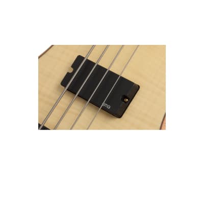 Schecter Stiletto Custom-4 Active 4-String Bass 2021 Natural Satin image 4