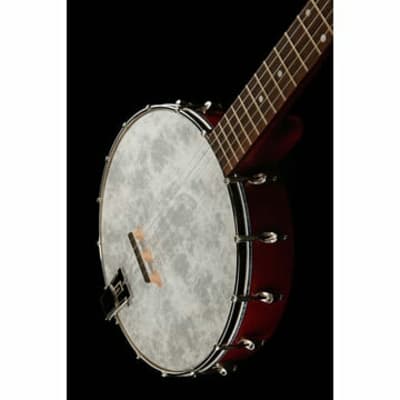 Recording King RKOH-05 | Dirty 30s Open Back Banjo. Brand New! image 16