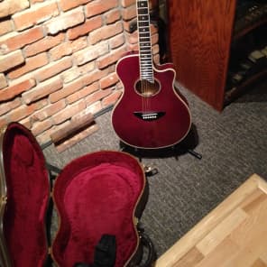 Yamaha APX-10 Stereo Acoustic/Electric Guitar