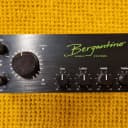 Bergantino Forte 800-Watt Bass Head