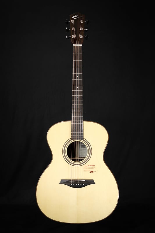 Mayson Luthier Series M5 S Acoustic Guitar image 1