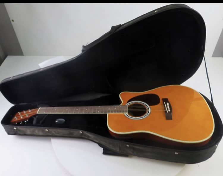 Esteban Master Class Cutaway Acoustic Electric Guitar Model ALC