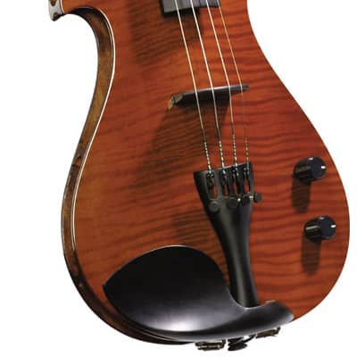 Rogue electric store violin