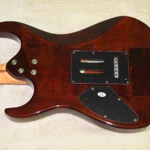 Washburn X-33 Tobacco Sunburst Buzz Feiten Tuning System