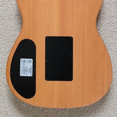Fender American Acoustasonic Telecaster Acoustic Electric Guitar, B-Stock, Black Finish, New Gig Bag image 6