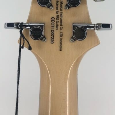 Paul Reed Smith PRS SE Custom 22 Semi Hollow Body Electric Guitar Ser# D07220 image 7