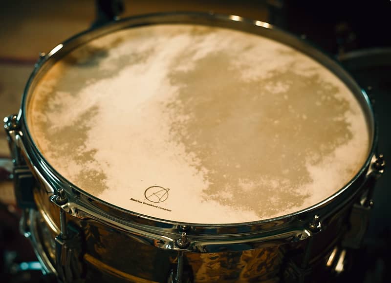 Austrian Drum Head Company 14" Medium Calf Skin Drum Head Reverb