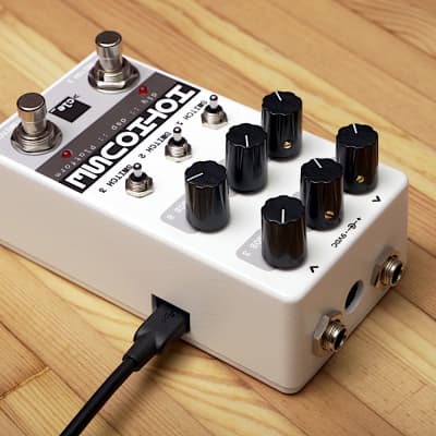 Hothouse Digital Signal Processing Pedal (Assembled) - Legacy MONO Version image 2
