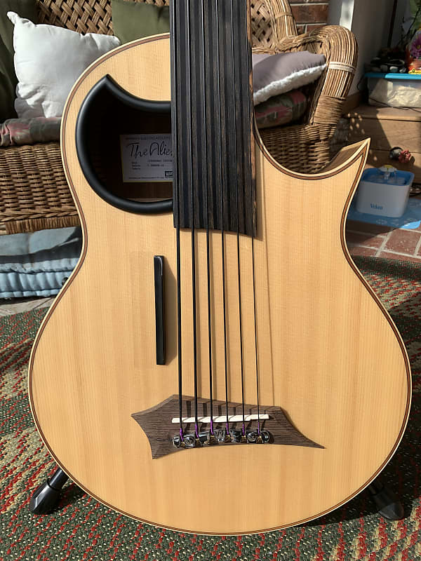 Warwick Alien 6 String Fretless Bass image 1