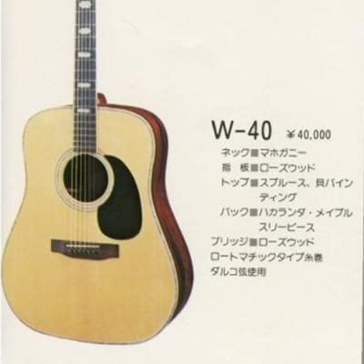 Vintage 1970's made Japan vintage Acoustic Guitar Westone W-40 Jacaranda body Made in Japan image 25