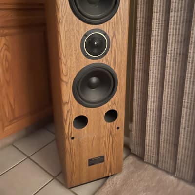 Pioneer S-T300 1992 Medium oak | Reverb