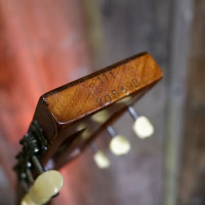 Washburn Model 1897 #111 Parlor Guitar 1903-1904 - Natural image 25