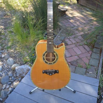 Bozo 12 String Acoustic Guitar 1986 - Natural for sale