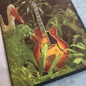 1966 Gibson Catalog image 5