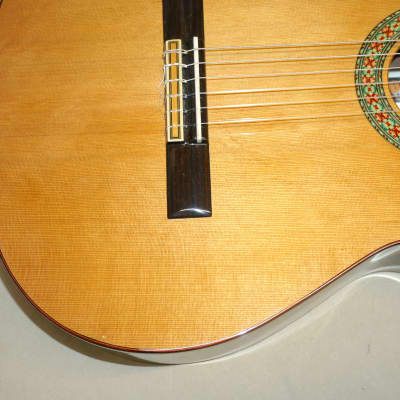 Manuel Rodriguez Model A Cut Classical Acoustic Guitar with Case image 11