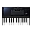 Roland Boutique K-25m Portable Keyboard