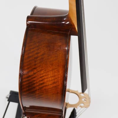 Eastman VC305 Andreas Eastman Step Up Professional Series Cello - 3/4 image 6