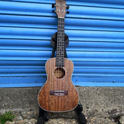 Blackwater YWUK 24F Concert ukulele (Including Gig bag) for sale