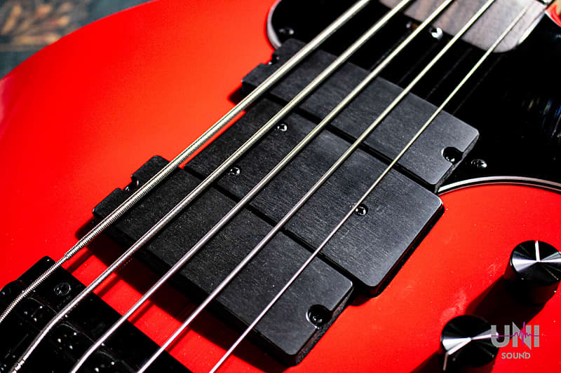 Edwards Platinum E-AMAZE-5-190 IKUO Signature Model #Red | Reverb