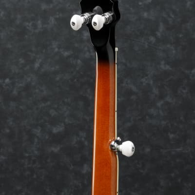 Ibanez B200 5-String Banjo Natural Closed Back image 3