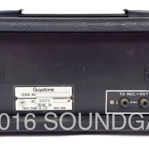Guyatone AE-5 Analog Delay - YouTube