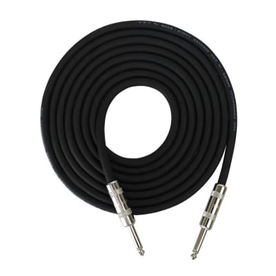 RapCo 10' 16AWG Speaker Cable 1/4" to 1/4"
