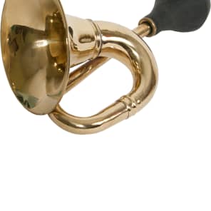 Dobani BULL Large Oval Bulb Horn