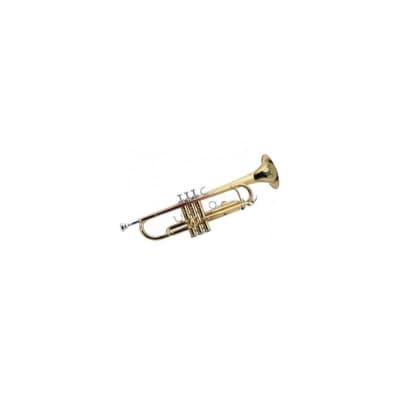 Amati ATR 382 Bb piccolo trumpet | Reverb Cyprus