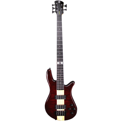 Spector NS-2000/5 Dan Briggs Signature | Reverb