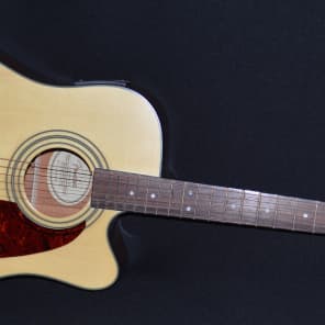 Fender dg14sce online