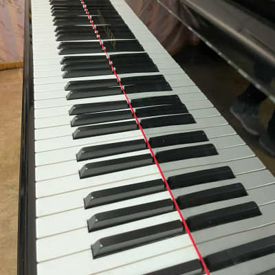 Grand piano Steinlager Baby 5’8” image 4