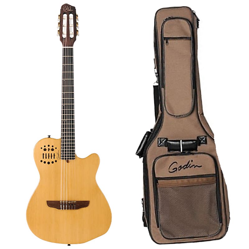 Godin store acoustic electric