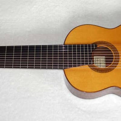 Super Rare 1977  Paulino Bernabe 1a 10-String Guitar Spruce/Brazilian, PB Stamp, w/Original Case image 3