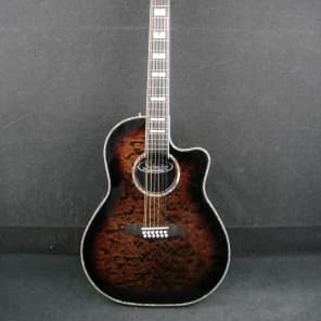 Schecter 12 string electric guitar discount