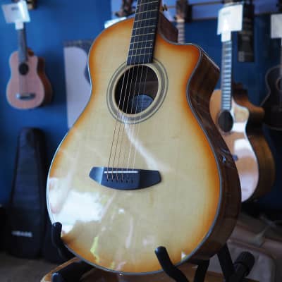 Breedlove concertina case top