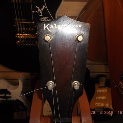 Gibson  Kalamazoo image 3