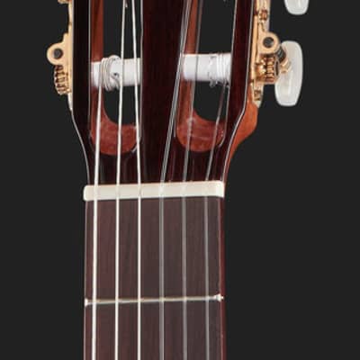 Raimundo Model 610E-C 4/4 Classical Electric Guitar with Cutaway NAT image 5