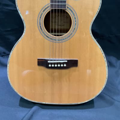 Zager ZAD-900 OMCE image 3