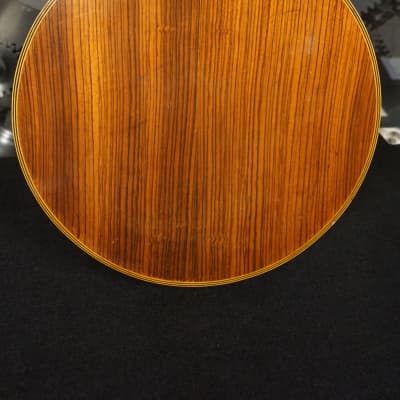 Aria 5-String Closed Back Banjo image 11