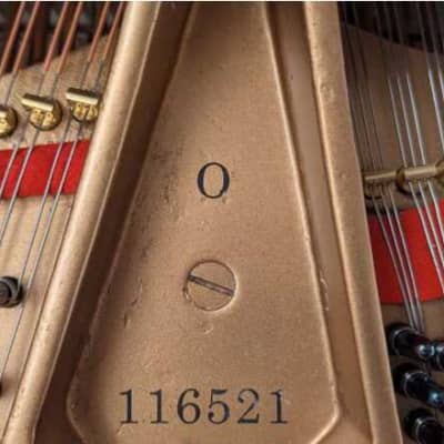 Unique Hamburg Steinway & Sons O Grand Piano Fully Restored from 1906 image 5