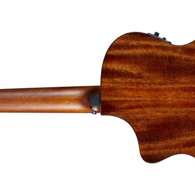 Breedlove Discovery S Concert Edgeburst 12-String CE Sitka Spruce/African Mahogany image 6