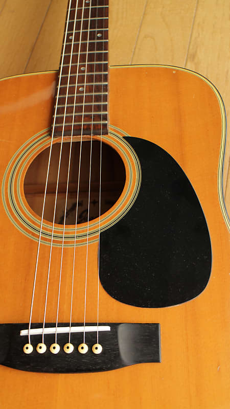 Black Friday! Vintage Made in Japan Jagard JD-150 Martin D