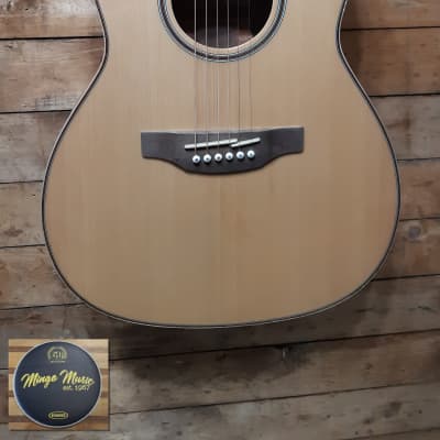 Takamine GY93E-NAT New Yorker Parlor acoustic. image 4