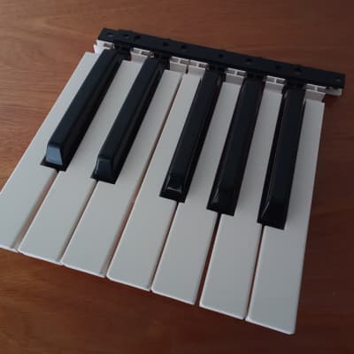 Style 59U keys - Complete octave for Yamaha CS1x / Cs2x / Psr225 / Psr 530 (for international shipments contact me)