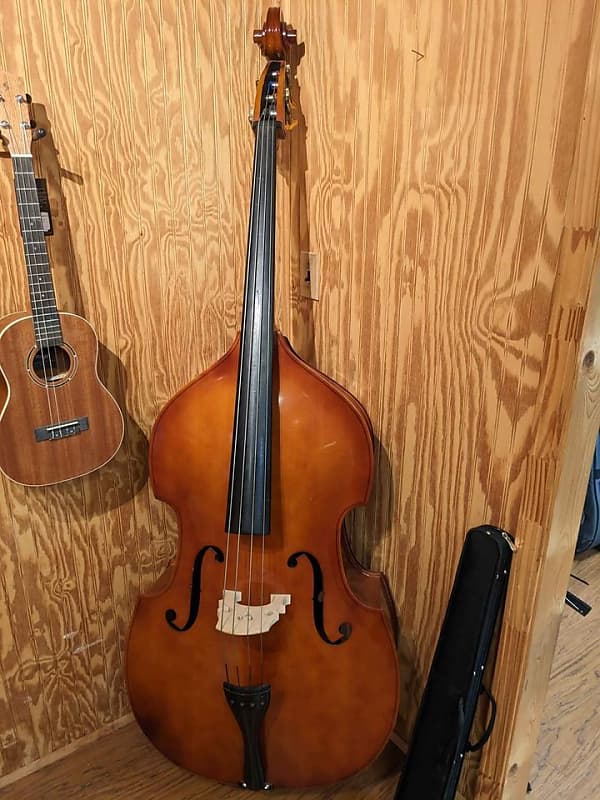 Nashville Violins Upright Bass Reverb